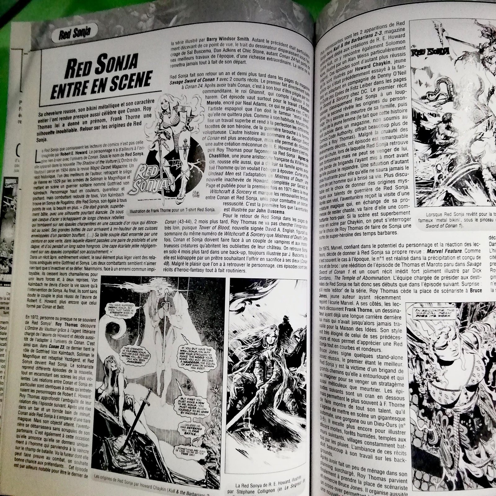 Scarce 75: Super-vilains (1/2), Red Sonja, ligne Minx – Image 4